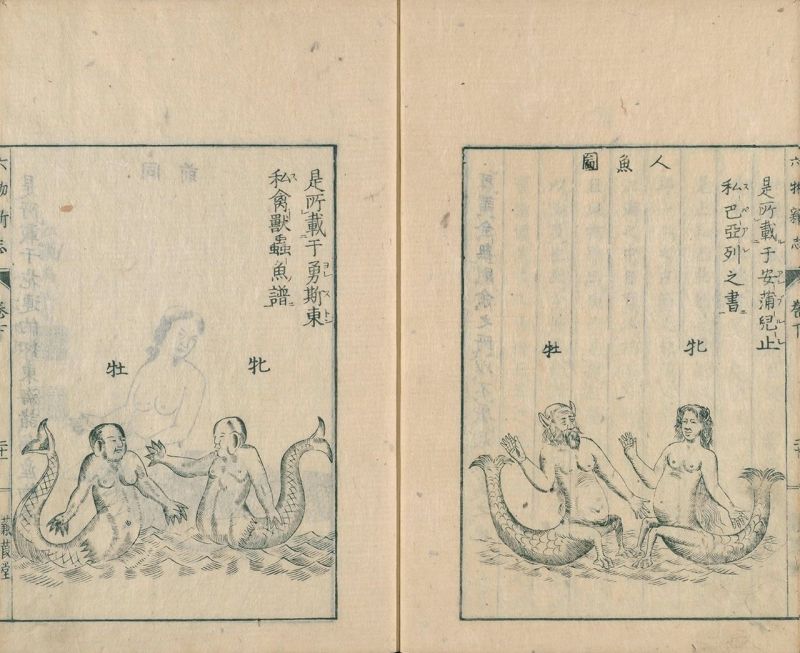 sách rokumotsu shinshi sách rokumotsu shinshi